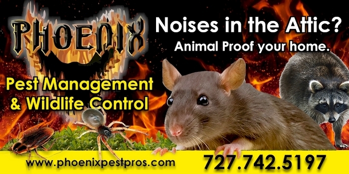 Phoenix Pest Pros